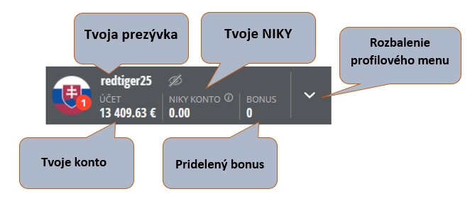Hráčsky účet v Niké