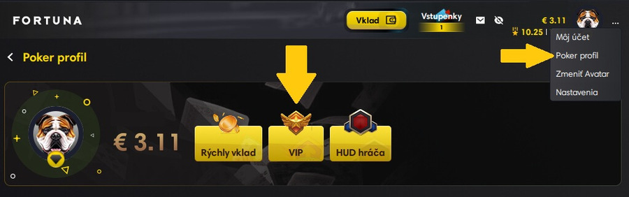 Fortuna body online poker